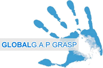 logotype
